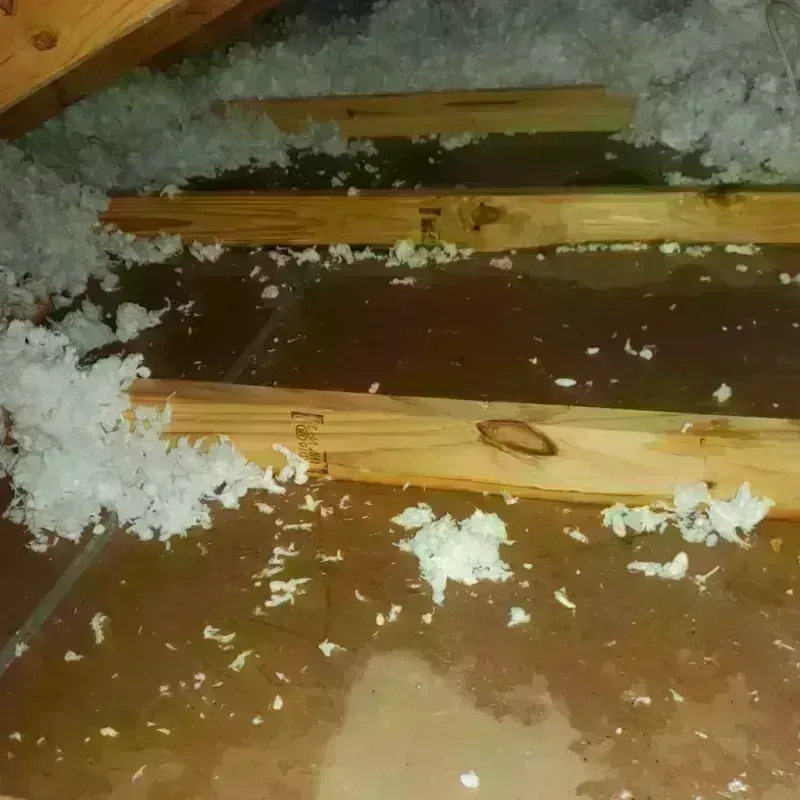 Attic Water Damage in Hempstead, TX