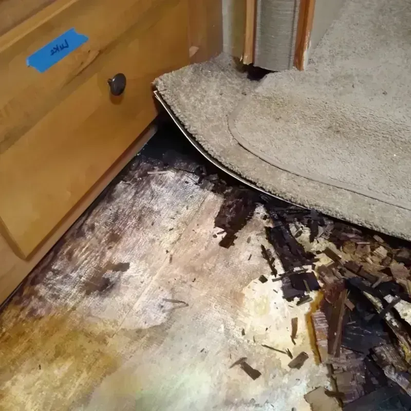 Wood Floor Water Damage in Hempstead, TX